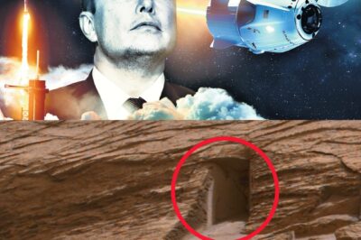 Elon Musk Quietly Funds $75,000,000 ‘Hell Gate’ Mission on Mars, Believing It May Lead to Ancient Alien Civilization