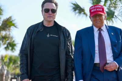 Elon Musk Pulls Back From Government Efficiency Role as DOGE Faces Uncertain Future