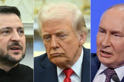 Trump Shares Big Update Ahead of Russia-Ukraine Peace Talks