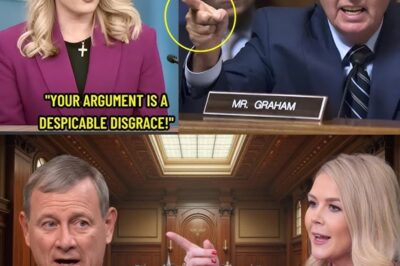 Caroline Leavitt’s Courtroom Stand Sparks Nationwide Legal Debate