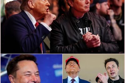 Let’s look back at the FRIENDSHIP after many years of attachment between Elon Musk and President Donald Trump with many great moments of the 2 most powerful figures in America