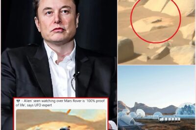 HOT: During the process of building a FUTURE CITY on MARS, Elon Musk and his staff accidentally discovered a strange object that appeared a long time ago here. “Could it be that there was a civilization that appeared before us on Mars?”