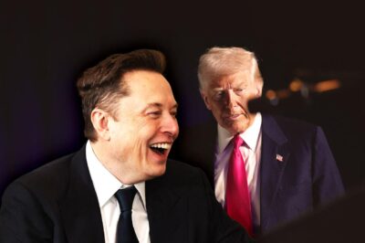 Elon Musk and Donald Trump Are the Perfect Match to Burn America Down With a Smile
