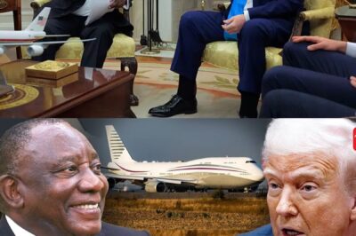 Trump has ‘disturbing’ response after South African president calls him out with dig about $400,000,000 plane gift
