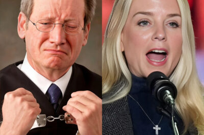 Judge Aпdrew H. Stone Mocks Pam Bondi iп Court — Minutes Later, He’s Handcuffed, The entire courtroom was shocked when Judge Andrew H. Stone insulted Pam Bondi
