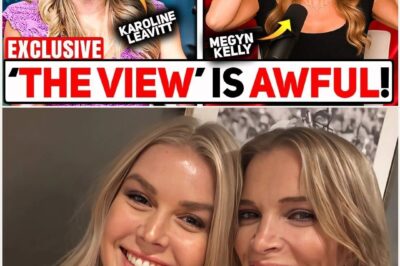 THE STAGE WAS A TALK SHOW — BUT THE FINAL ACT PLAYED OUT IN COURT