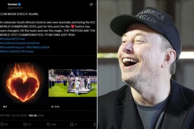 Elon Musk’s Revolutionary Move: Turning Facebook Like into Heart Symbol